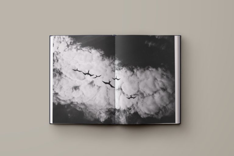Photo book design, book design, book lay-out, art book.