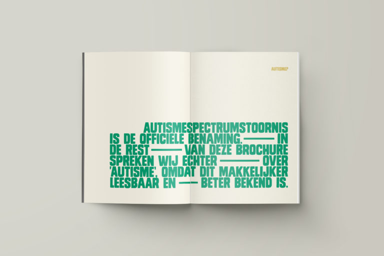 boek ontwerp, publicatie, autisme, raster vzw, illustratie, antwerpen, illustration, book design, antwerp